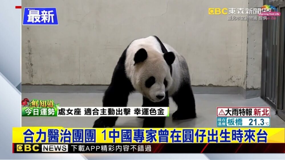 最新》中國2名專家抵台 直奔動物園見團團、圓圓 @newsebc