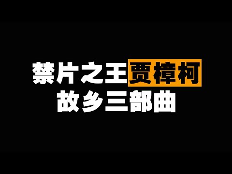 【越哥】48分钟看完禁片之王贾樟柯故乡三部曲：中国社会变迁下的小人物！