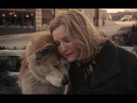 【越哥】豆瓣9 2分，一部零差评的催泪电影，看一次哭一次！速看《忠犬八公的故事》