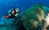 澎湖: 興仁潛水 Fun Dive 休閒潛水・PADI潛水員課程