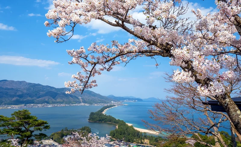 京都北郊一日遊：美山茅草屋之里＆伊根灣＆天橋立（大阪出發）