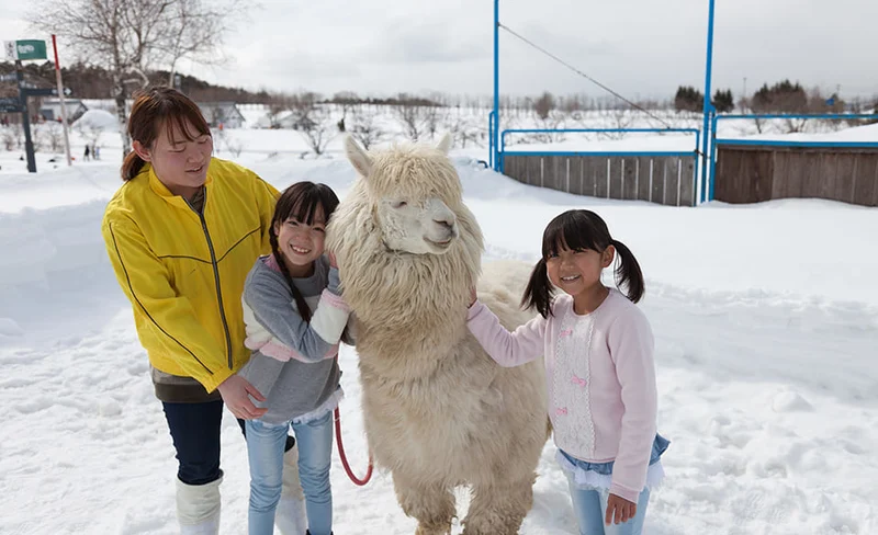 Boka no Sato 滑雪 & 溫泉一日遊（名古屋出發）